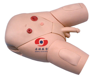高級男性導尿模型