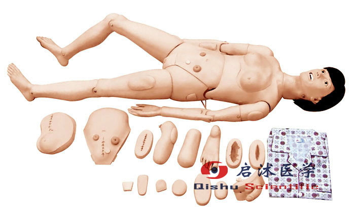護(hù)理操作訓(xùn)練模擬人