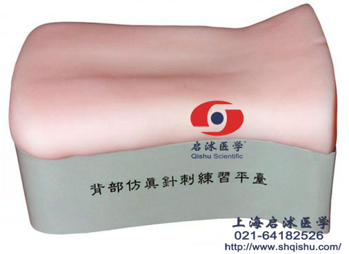 背部仿真針刺練習(xí)平臺(tái)