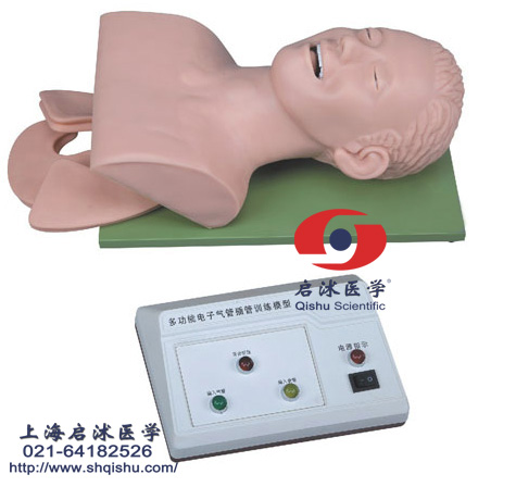 電子人體氣管插管訓練模型