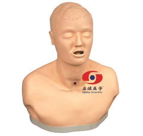 高級(jí)成人氣管切開(kāi)護(hù)理模型