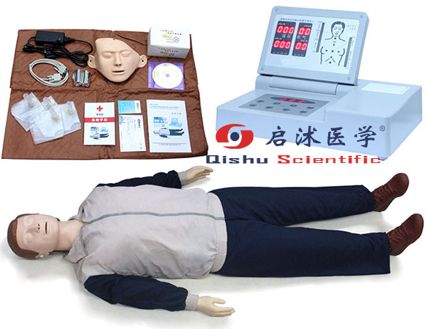 醫(yī)用人體模型