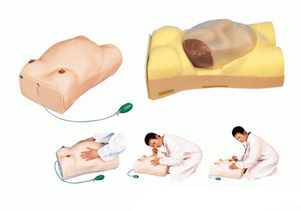 孕婦腹部觸診練習模型