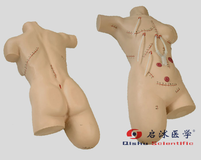 外傷清理縫合練習模型