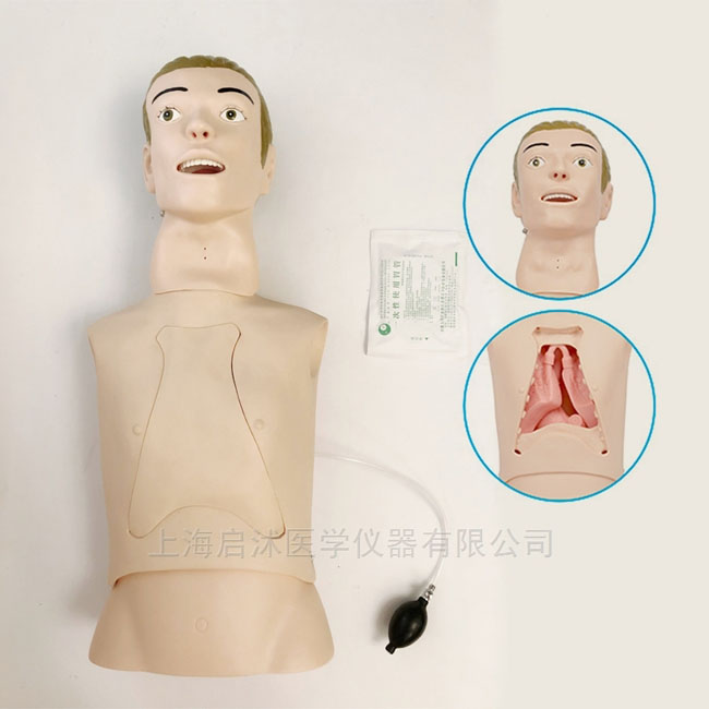 鼻胃管及口腔護(hù)理模擬人
